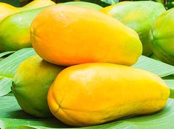 papaya