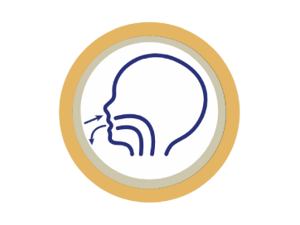 icon1