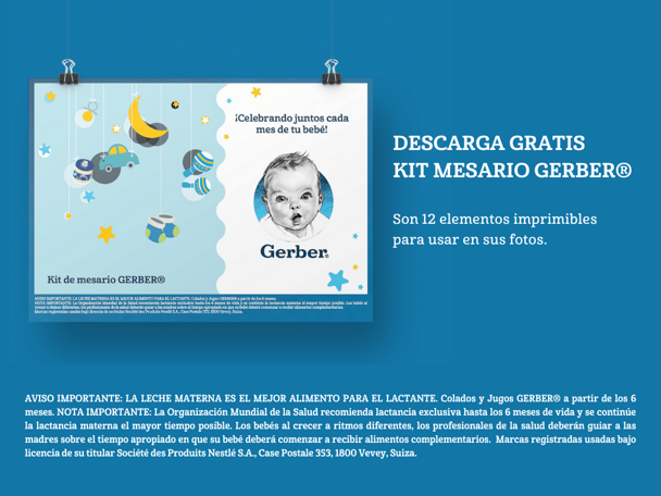 Mesario Gerber