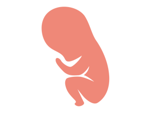 32a37semanas 32a37semanas