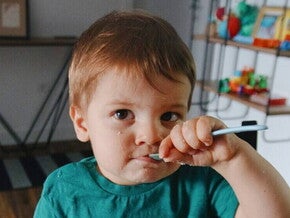 gerber nutrition baanner