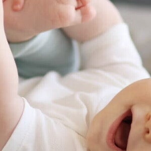 4-6 meses