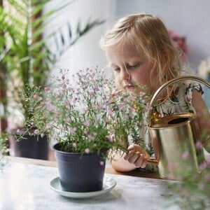Niña pequeña regando plantas con una regadora.