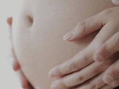 Calculadora de Fecha de Parto