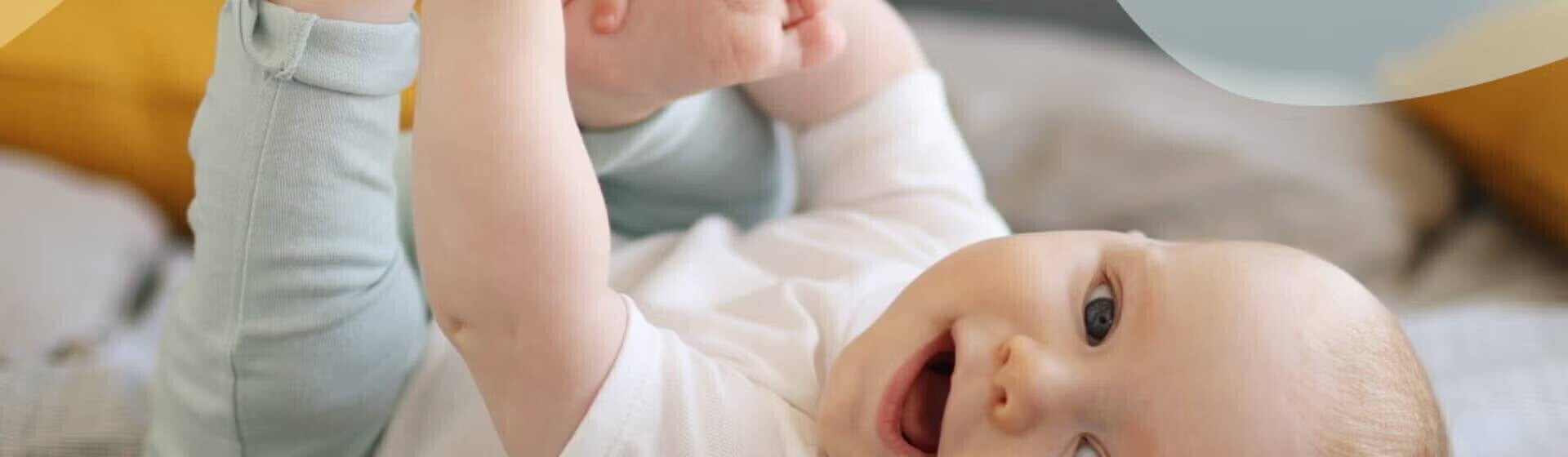 4 a 6 meses