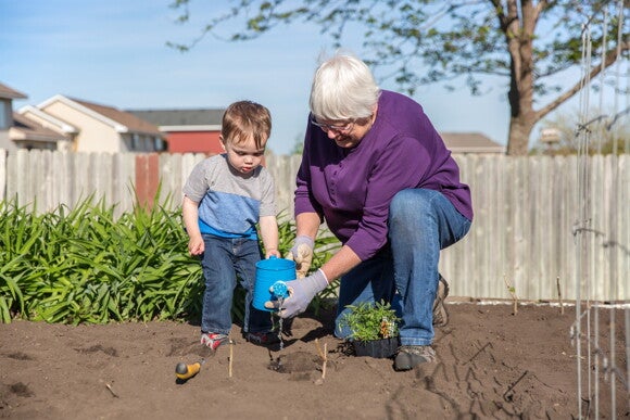 Actividades recreativas proyecto de jardinería