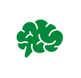cerebro cerebro