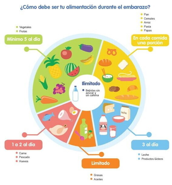 Como debe ser tu alimentacion durante el embarazo Como debe ser tu alimentacion durante el embarazo