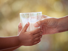 productos categoria alimentos lacteos